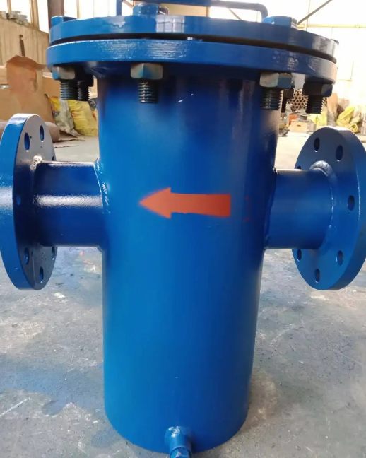 藍(lán)式管道過濾器