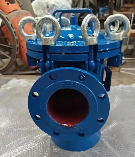 藍(lán)式管道過(guò)濾器